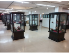 Archaeology Section