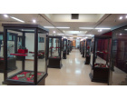 Archaeology Section