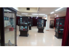 Archaeology Section