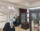 بازدید دانش‌آموزان دبستان پسرانه غیر دولتی صدرا 3 از موزه تاریخ و باستان‌شناسی دانشگاه تبریز